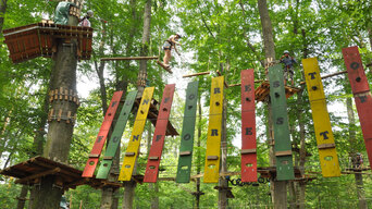 Bild vom Kletterpark